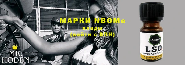 прущие грибы Аркадак