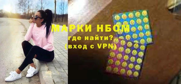индика Арсеньев