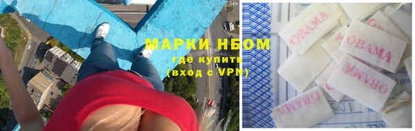 индика Арсеньев