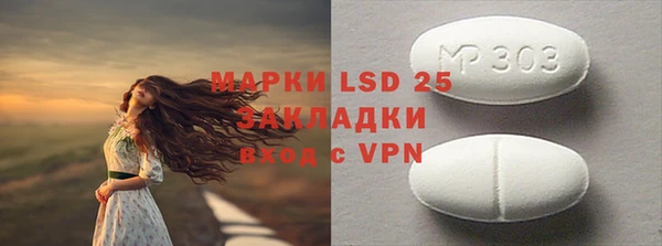 индика Арсеньев