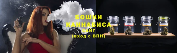 ПСИЛОЦИБИНОВЫЕ ГРИБЫ Семёнов