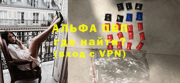 прущие грибы Аркадак