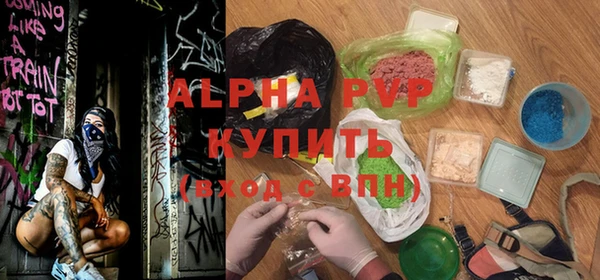 индика Арсеньев