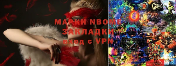 индика Арсеньев