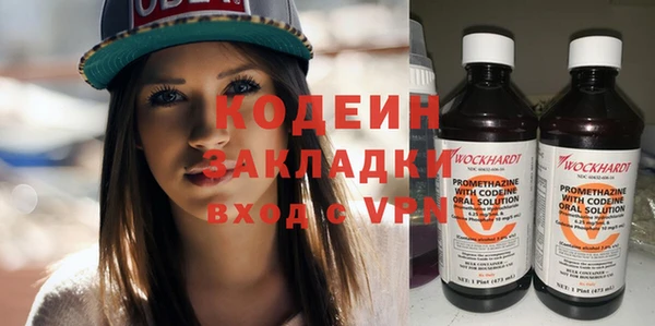 прущие грибы Аркадак