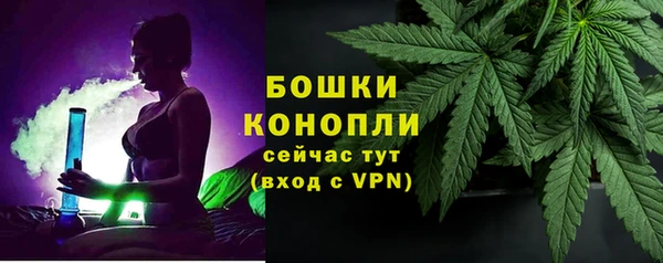 индика Арсеньев