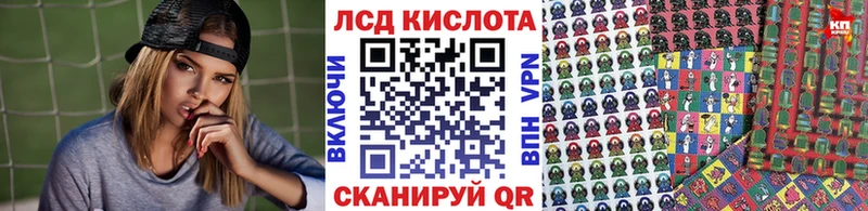 дарнет шоп  Новокубанск  Наркотические марки 1,5мг 