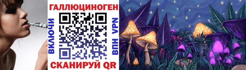 Галлюциногенные грибы мицелий  omg tor  Новокубанск  магазин продажи  
